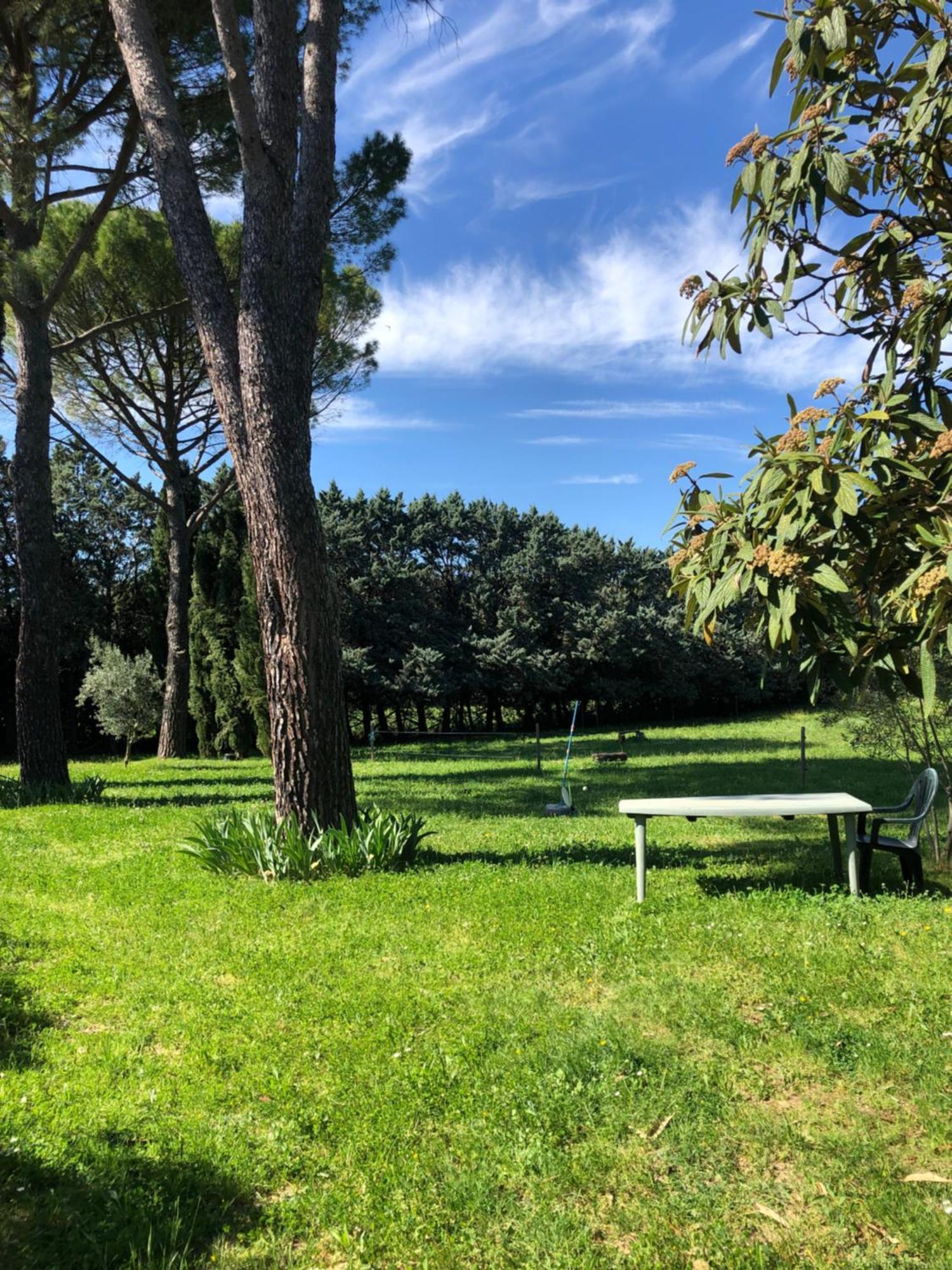 Gite Des Pins Saint-Maurice-dʼIbie Exterior foto
