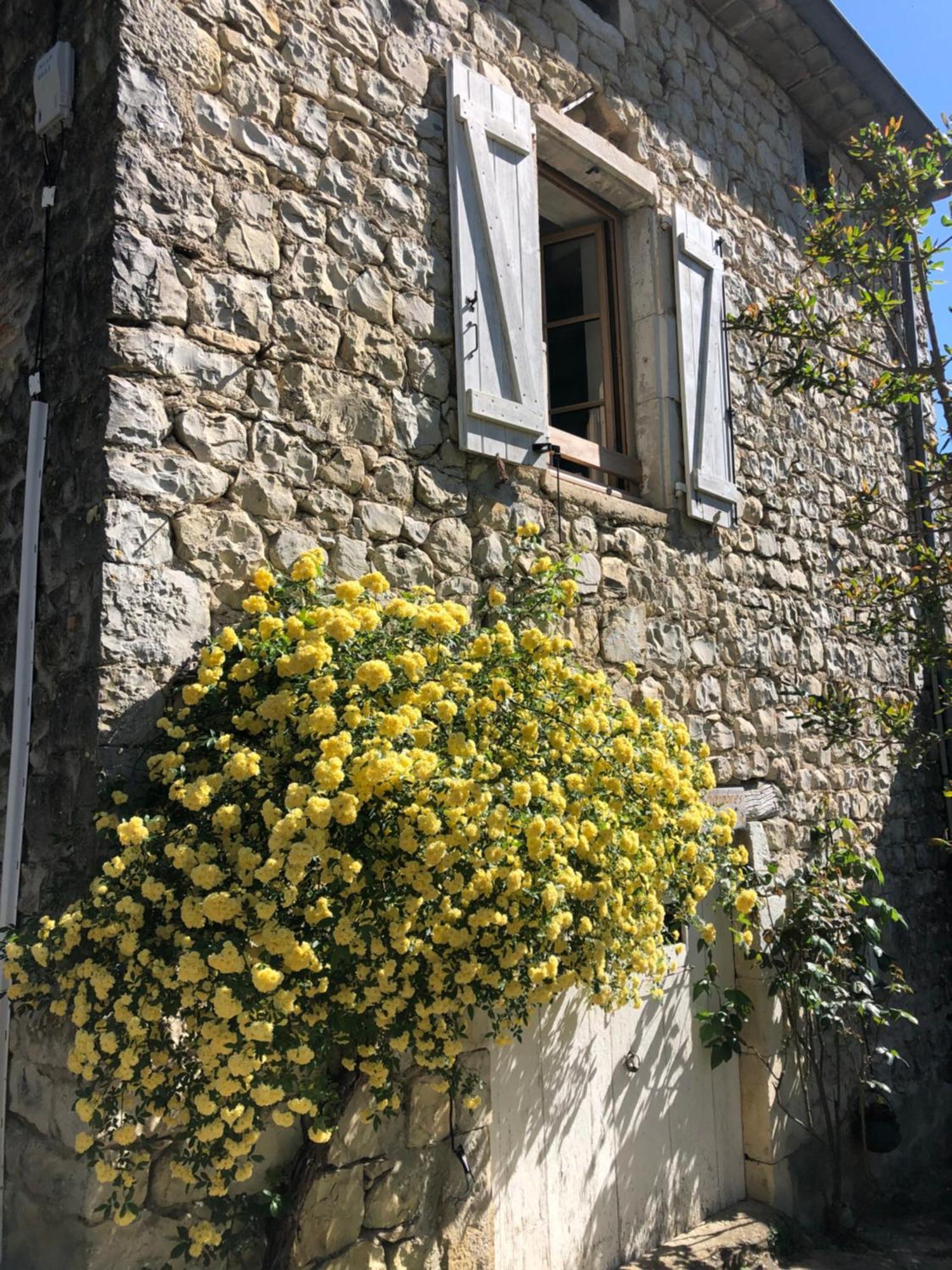 Gite Des Pins Saint-Maurice-dʼIbie Exterior foto